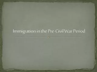 Immigration in the Pre-Civil War Period
