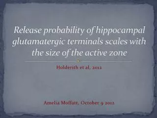 Release probability of hippocampal glutamatergic terminals scales with the size of the active zone