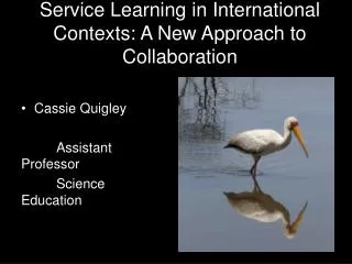 Service Learning in International Contexts: A New Approach to Collaboration