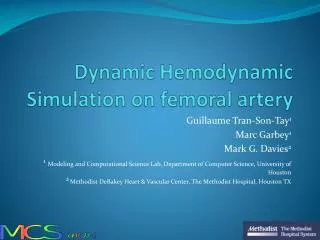 Dynamic Hemodynamic Simulation on femoral artery
