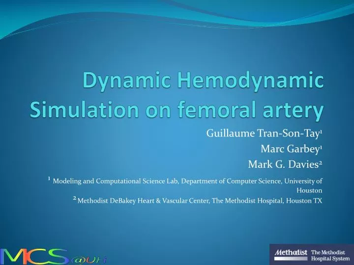 dynamic hemodynamic simulation on femoral artery