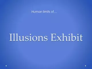 Illusions Exhibit