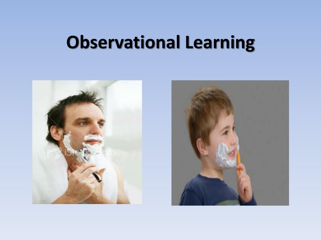 PPT - Observational Learning PowerPoint Presentation, free download ...
