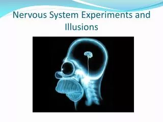 Nervous System Experiments and Illusions