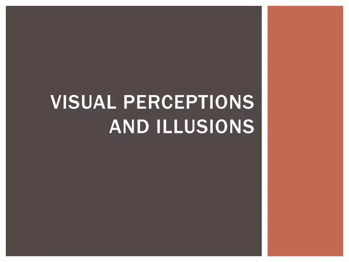 visual perceptions and illusions