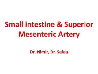 Small intestine &amp; Superior Mesenteric Artery Dr. Nimir , Dr. Safaa