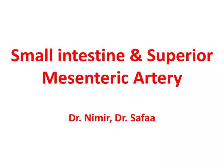 small intestine superior mesenteric artery dr nimir dr safaa