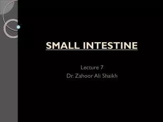 SMALL INTESTINE