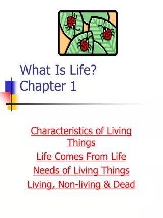 What Is Life? Chapter 1