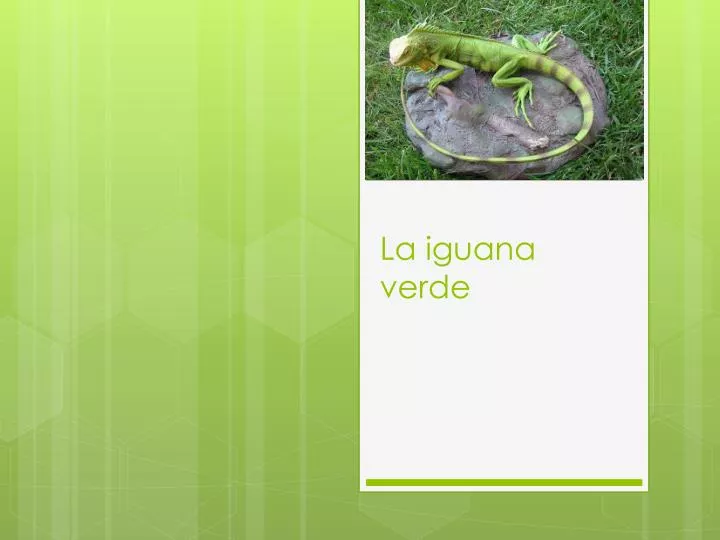 la iguana verde