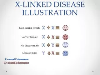X-LINKED DISEASE ILLUSTRATION