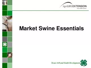 Market Swine Essentials