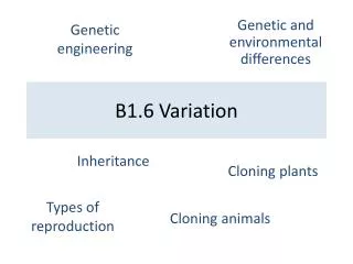 B1.6 Variation