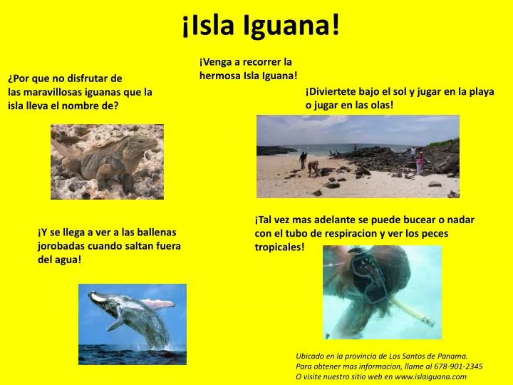 isla iguana