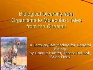 Biological Diversity from Organisms to Molecules: Tales from the Cheetah