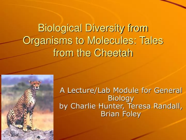 biological diversity from organisms to molecules tales from the cheetah