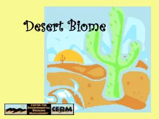 Desert Biome