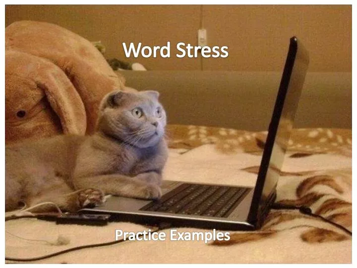 word stress