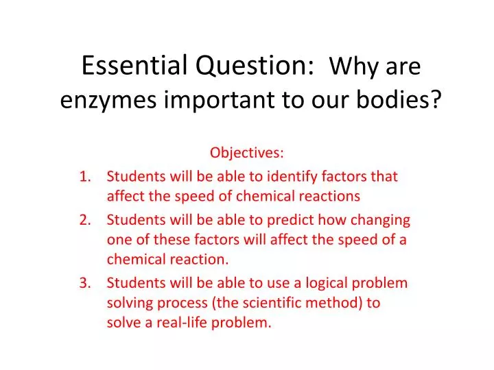 essential question why are enzymes important to our bodies