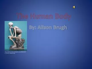 The Human Body