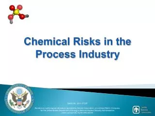 Chemical Risks in the Process Industry