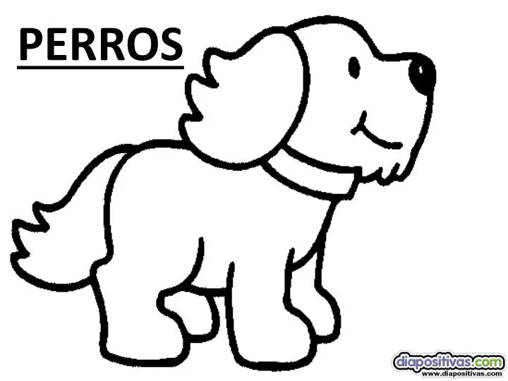 perros