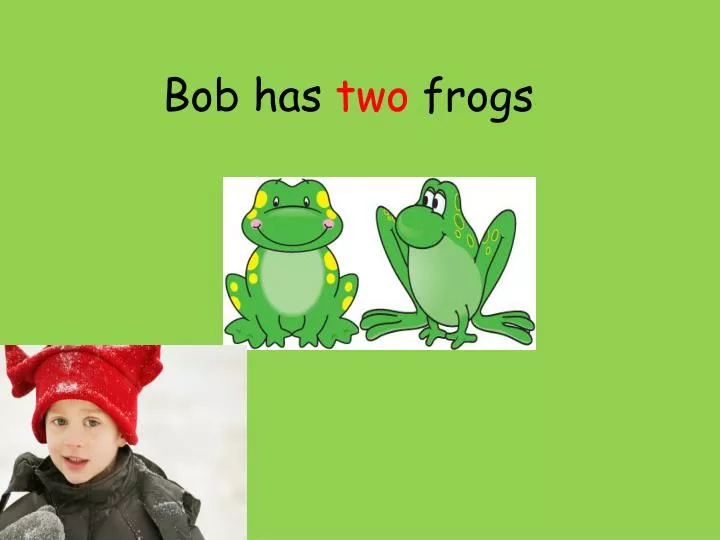 bob has two frogs