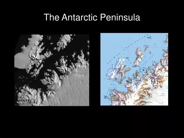 the antarctic peninsula