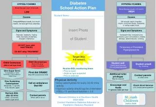 Diabetes School Action Plan
