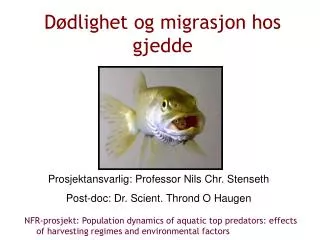 d dlighet og migrasjon hos gjedde