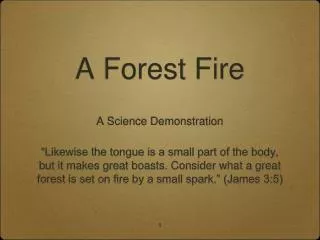 A Forest Fire