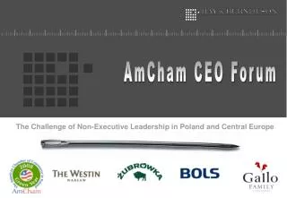 The Challenge of Non-Executive Leadership in Poland and Central Europe