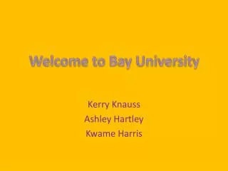 Welcome to Bay University