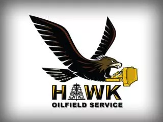 HAWK OILFIELD ORGANIZATIONAL CHART