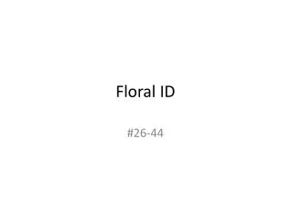 Floral ID