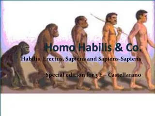 Homo Habilis &amp; Co.