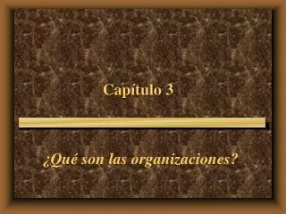 cap tulo 3