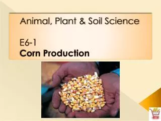 Animal, Plant &amp; Soil Science E6-1 Corn Production