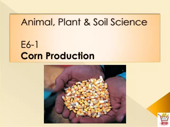 animal plant soil science e6 1 corn production