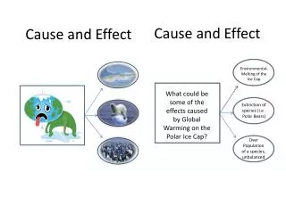 Cause and Effect