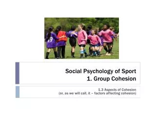 Social Psychology of Sport 1. Group Cohesion