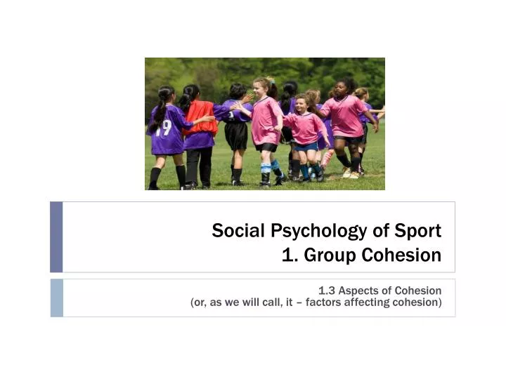 social psychology of sport 1 group cohesion