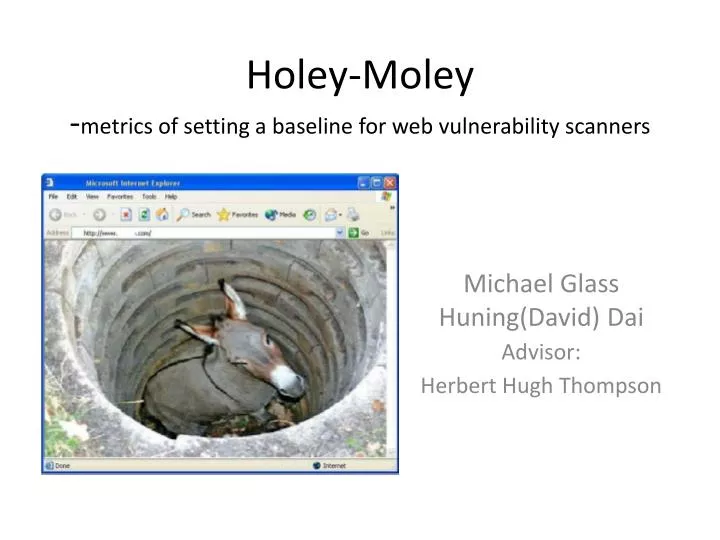holey moley metrics of setting a baseline for web vulnerability scanners
