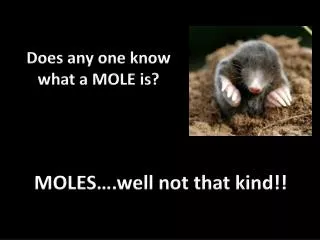 Does any one know what a MOLE is?