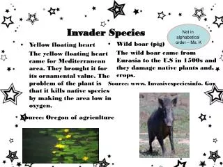 Invader Species