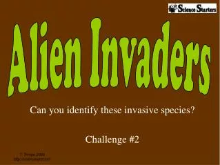 can you identify these invasive species challenge 2