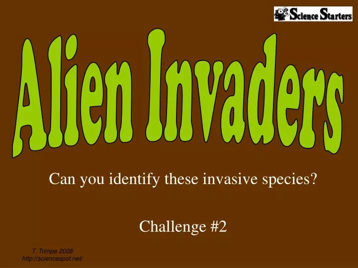 can you identify these invasive species challenge 2