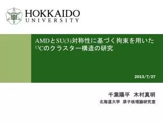 amd su 3 13 c