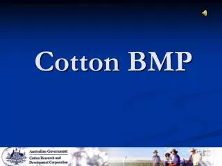 Cotton BMP