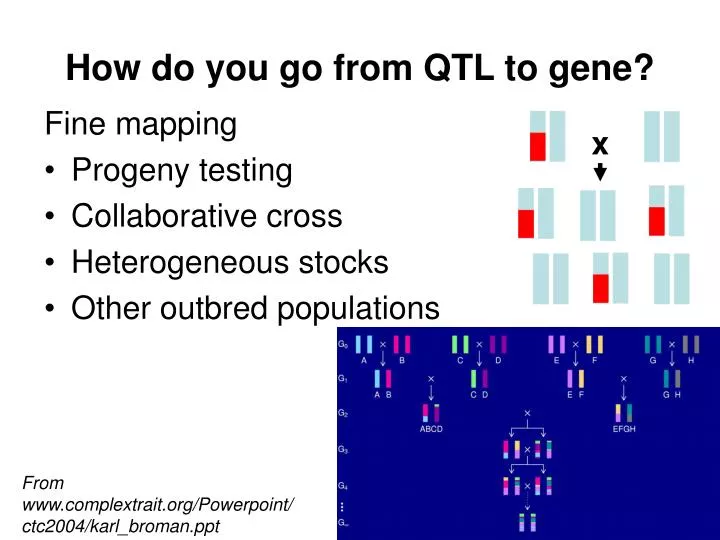how do you go from qtl to gene